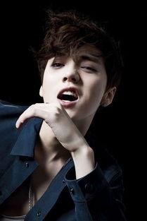 单飞明星,独立翱翔，闪耀星途