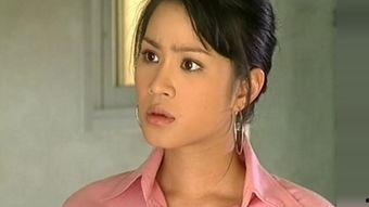 vill泰国女明星,Vill的璀璨星途