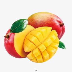 芒果网红,闪耀舞台的璀璨之星