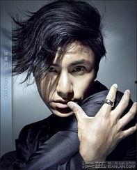 脑袋大的男明星,揭秘那些脑袋大的男明星风采